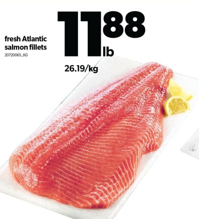 Fresh Atlantic salmon fillets
